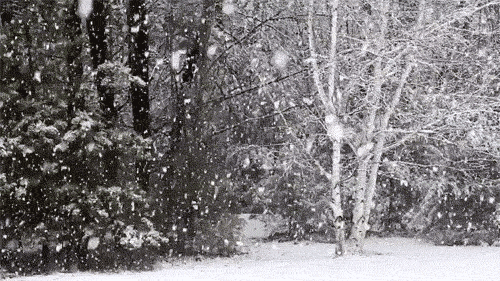 ΢ͼƬ_20180108092838.gif
